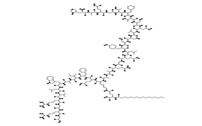 利拉鲁肽 （Liraglutide ）