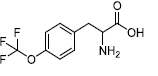 4-(Trifluoromethoxy)-DLphenylalanine