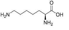 (S)-2,7-Diaminoheptanoic acid