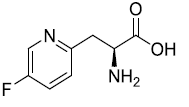 (2S)-2-Amino-3-(5- fluoropyridin-2- yl)propanoic acid