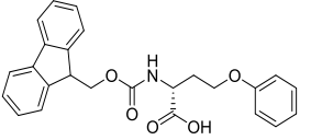 N-Fmoc-O-phenyl-Dhomoserine