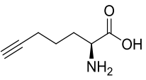 (2S)-2-Aminohept-6-ynoic acid